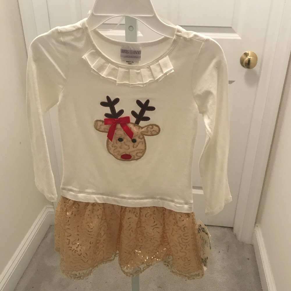 Iris and Ivy Girls Holiday Dress , Size 6x Girls